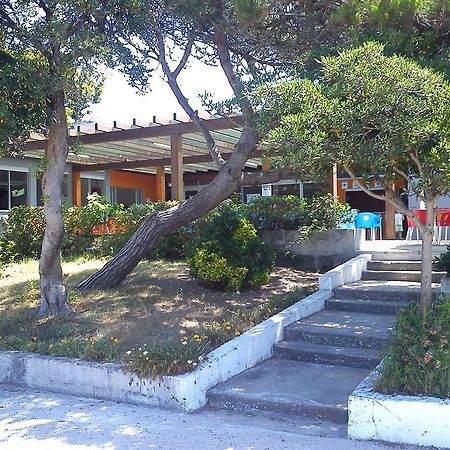 Parque De Campismo Da Praia De Pedrogao Hotel Coimbrao Bagian luar foto